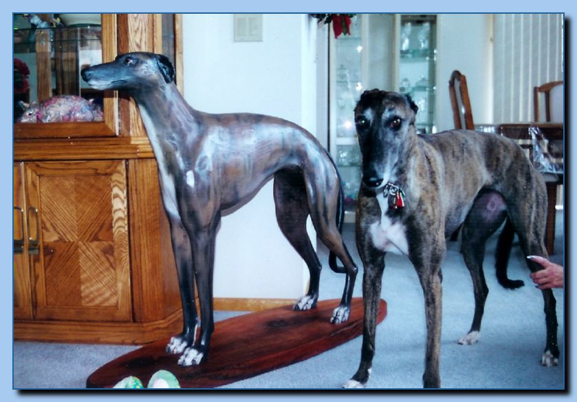2-48 animal portrait-archive-0008